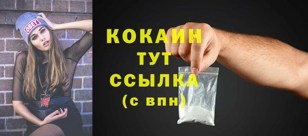 крисы Армянск