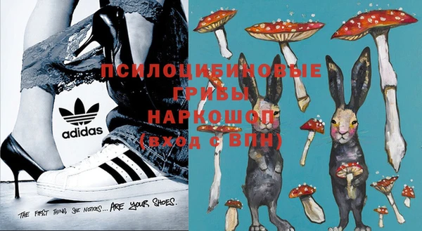 apvp Аркадак