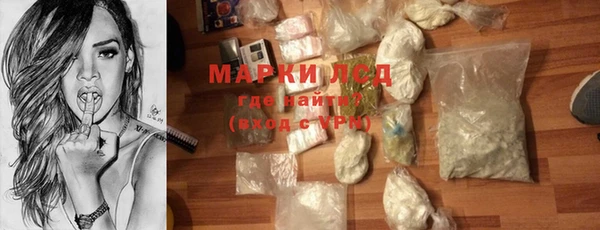 крисы Армянск