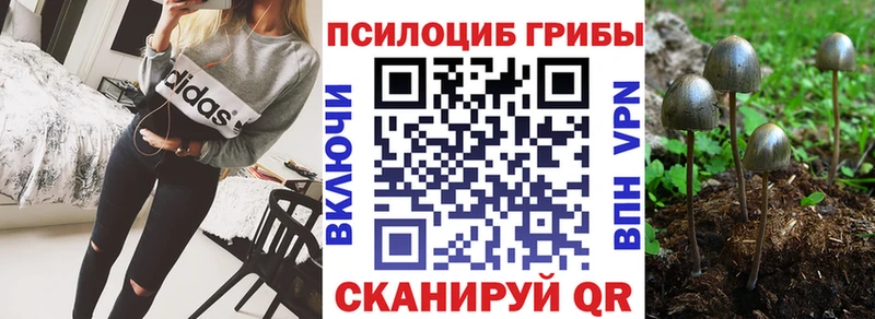 Галлюциногенные грибы Cubensis  цена наркотик  Шарыпово 